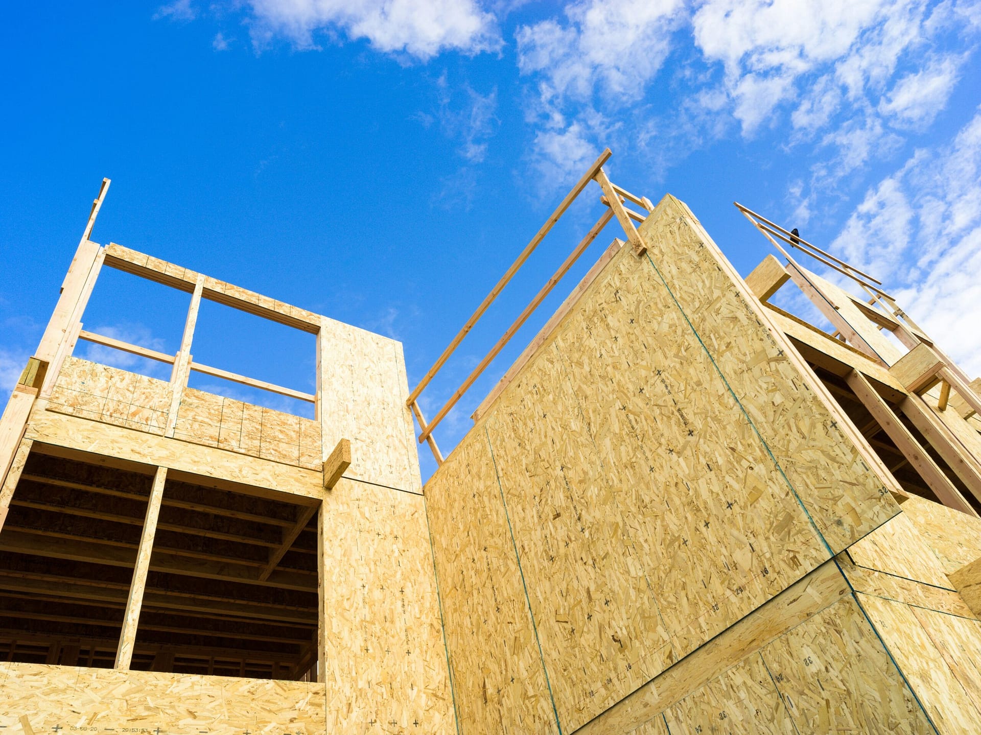 Modern Architectural Timber Structure